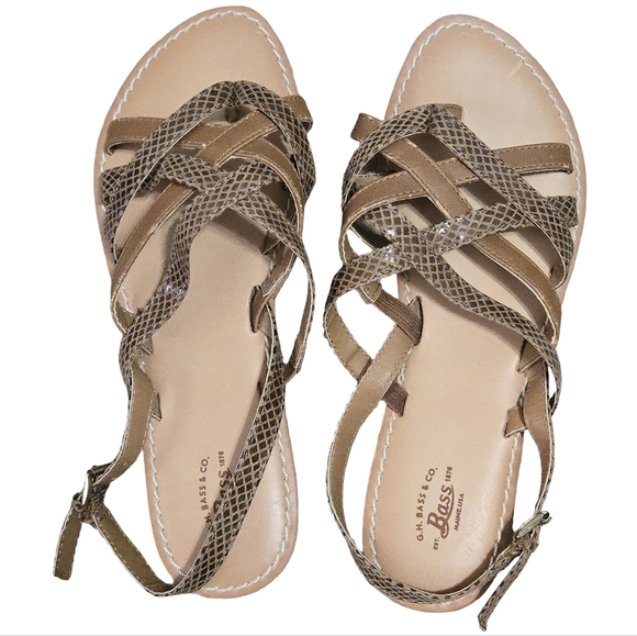 Bass Shoes - Bass Women's Tan Snakeskin Sandals